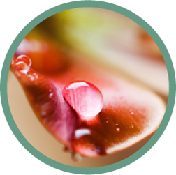 Rain With White Noise