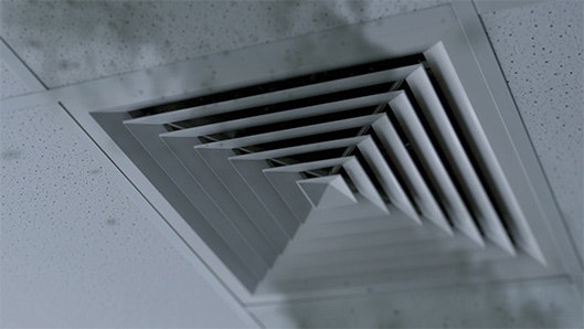 Toxic indoor air