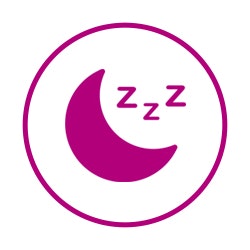 Summer Night Logo