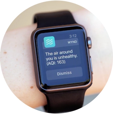 Notification