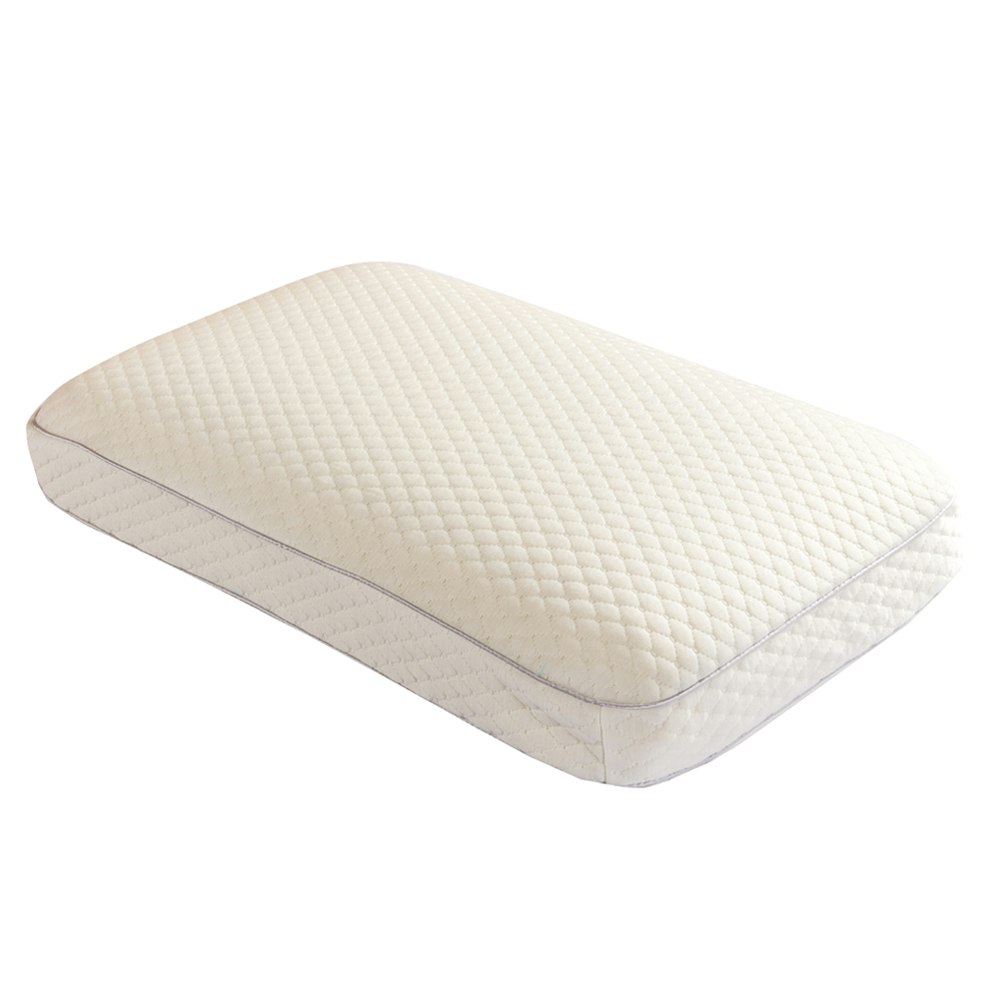 Alastairs NatureBasics Ventilated Memory Foam Pillow with Cover