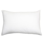 Ardor Boudoir Microfibre Pillow With Tencel Pillow Protector Base Image