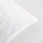 Ardor Boudoir Microfibre Pillow With Tencel Pillow Protector Close In