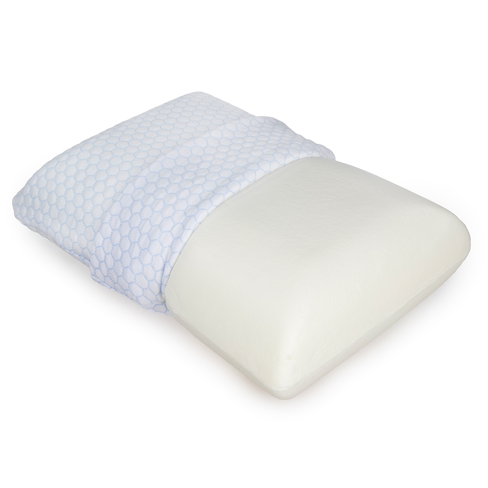 Hollander latex shop foam pillow