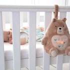 Bennie the Bear Lifestyle 