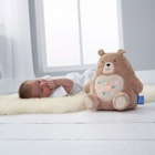 Bennie the Bear Lifestyle 