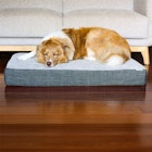 Charlie's Pet Portable Convoluted Foam Dog Crate Mattress Base Image