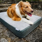 Charlie's Pet Portable Convoluted Foam Dog Crate Mattress Base Image