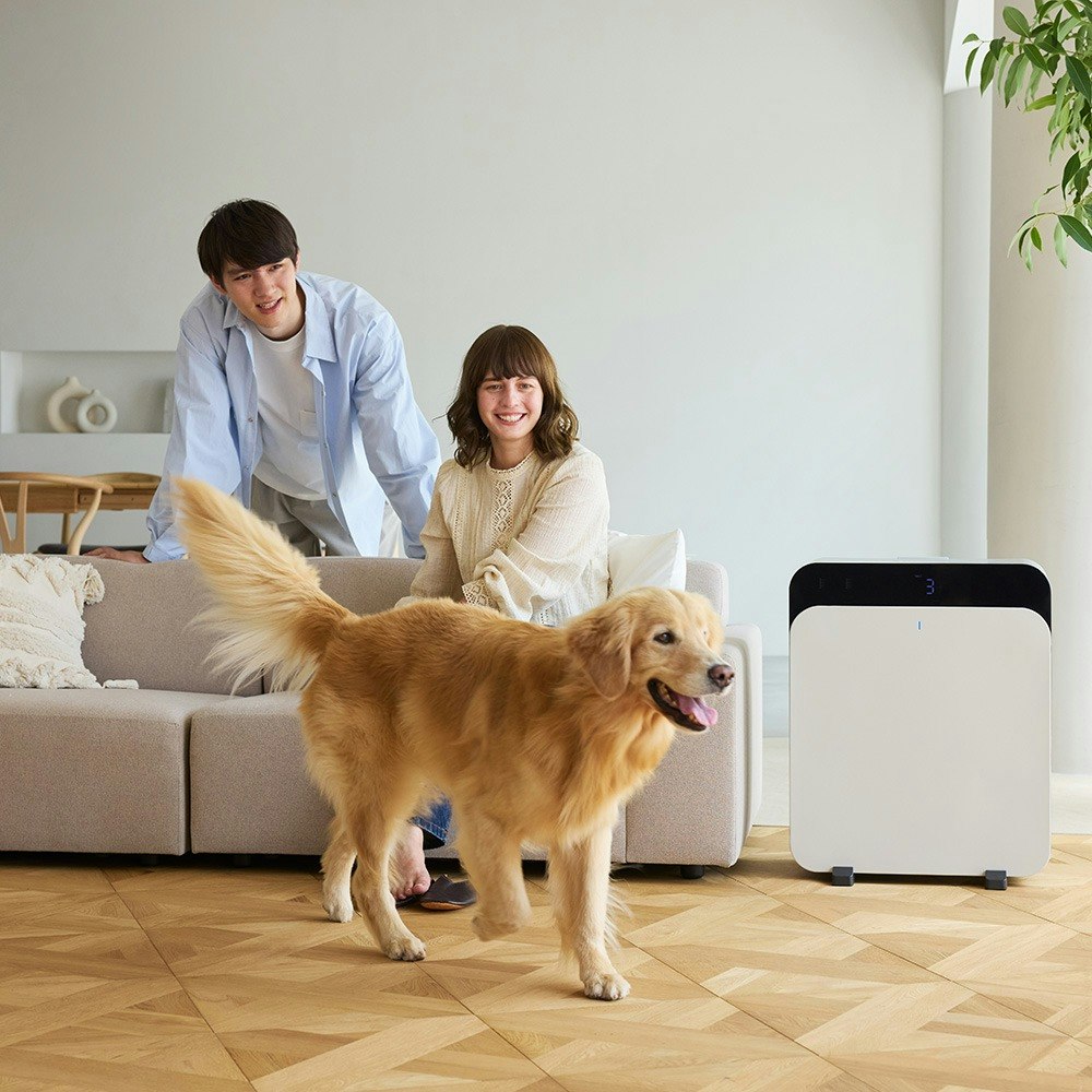Blueair Classic Pro CP7i Air Purifier Lifestyle