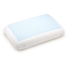 Cool Gel Memory Foam Pillow With Cover