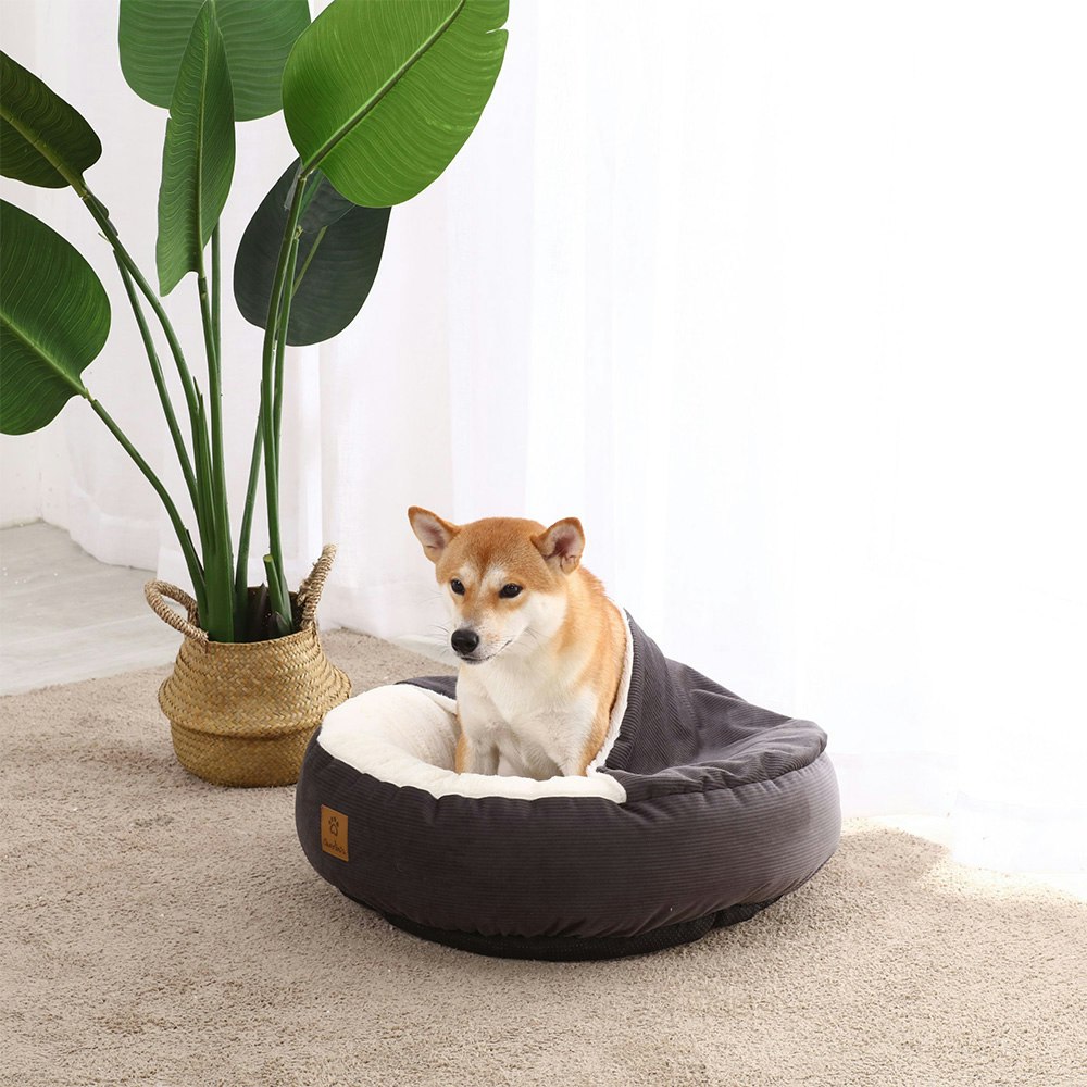 Charlie's Pet Hooded Corduroy Cushioned Snookie 2