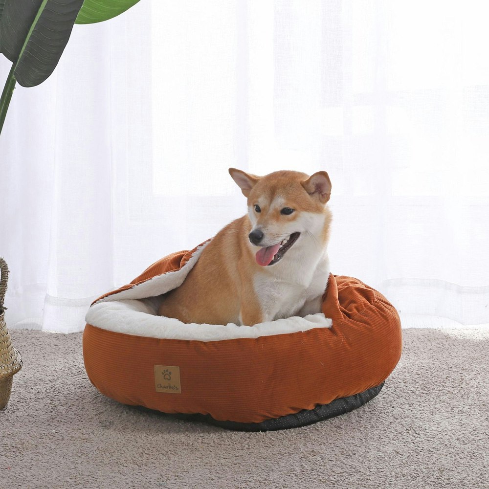 Charlie's Pet Hooded Corduroy Cushioned Snookie Terracotta