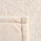 Serene Hudson Fleece and Sherpa Reverse 200 GSM Blanket