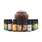 Sphere Aromatherapy Diffuser with 10 Essential Oils