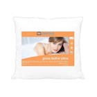 Downia Goose Feather European Pillow Packaging