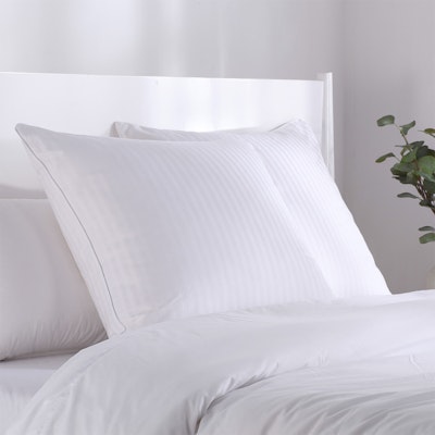 Dreamaker Premium All Cotton European Pillow Protector Twin Pack