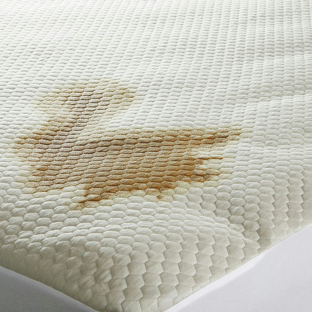 Protect-A-Bed Equilibrium Graphene Infused Pillow and Mattress Protector Set 3