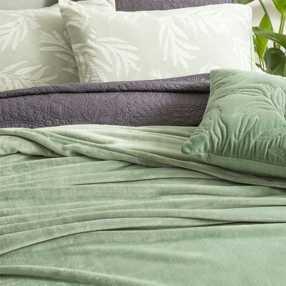 Renee Taylor Heston 380 GSM Ultra Soft Velvet Blanket