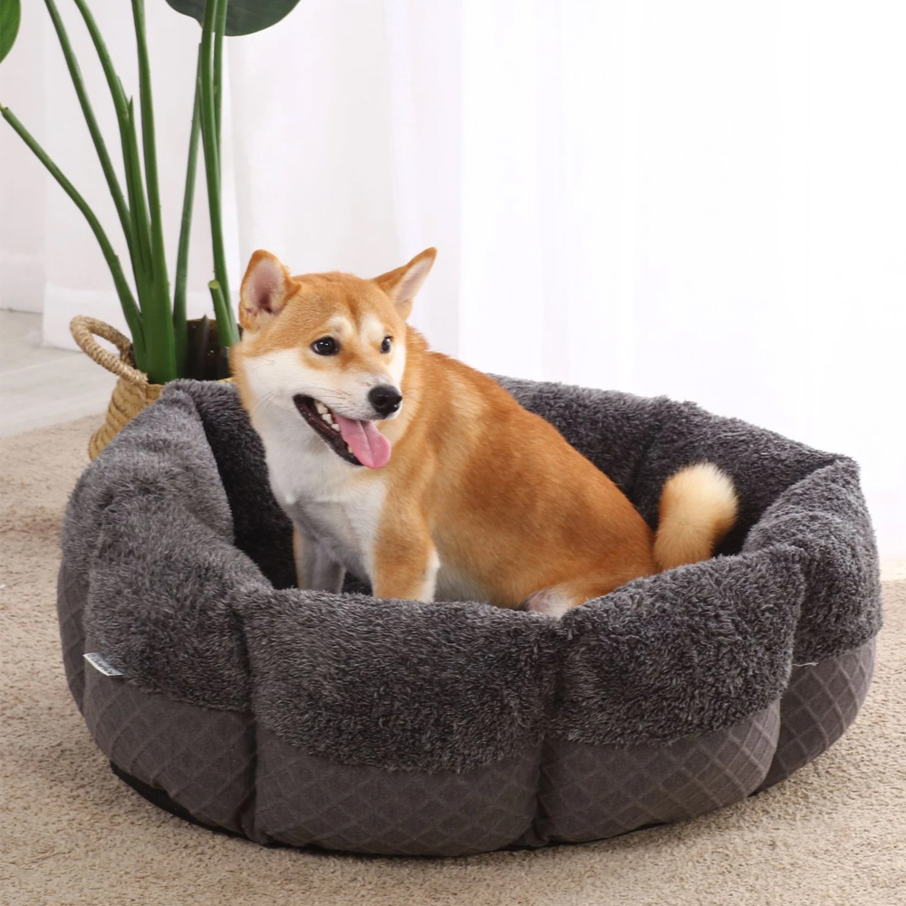 Latex dog bed with bolster best sale