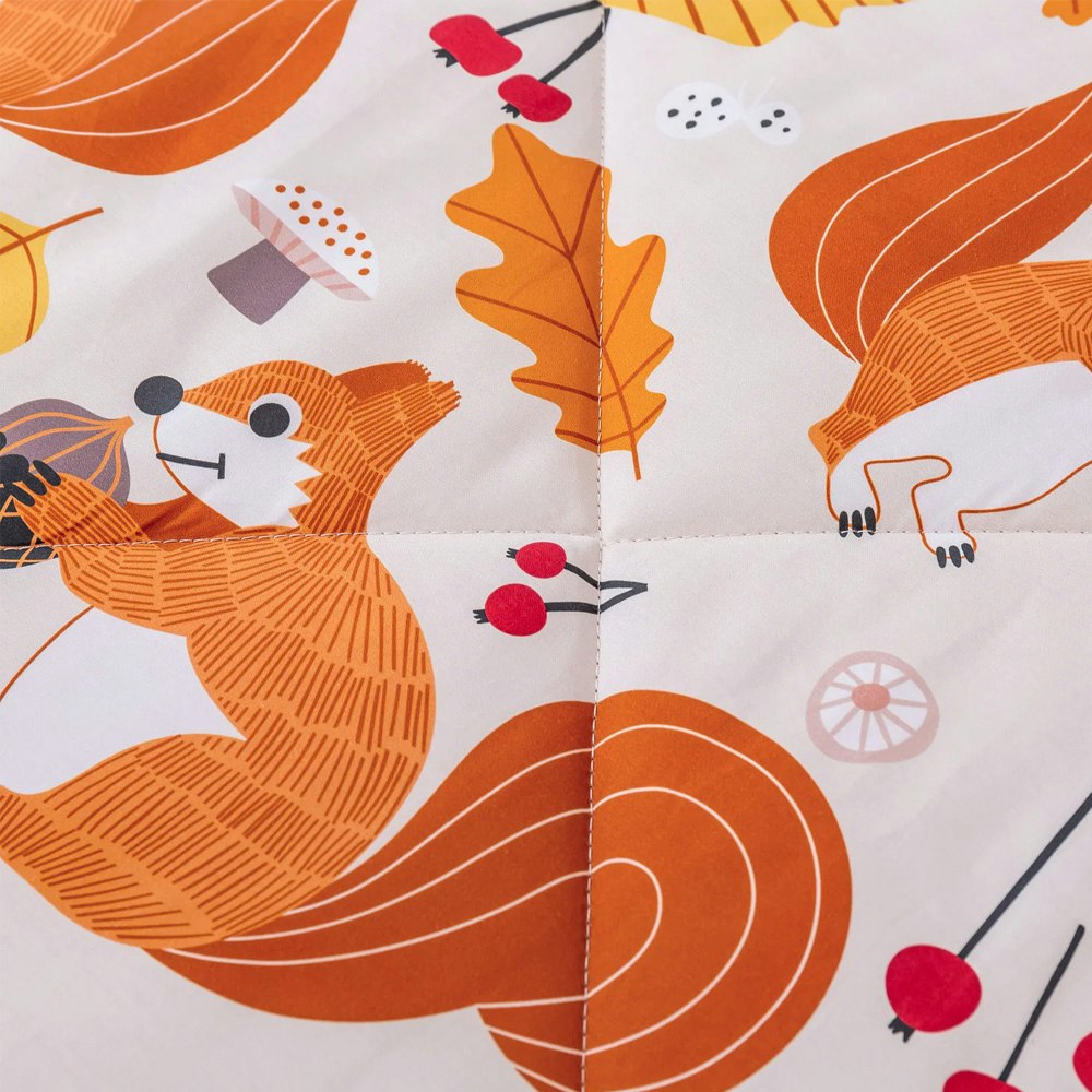Jack & Ava Find a Squirrel Comforter Set