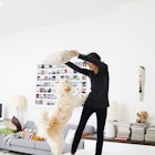 HoMedics True HEPA TotalClean Air Purifier with PetPlus Pet