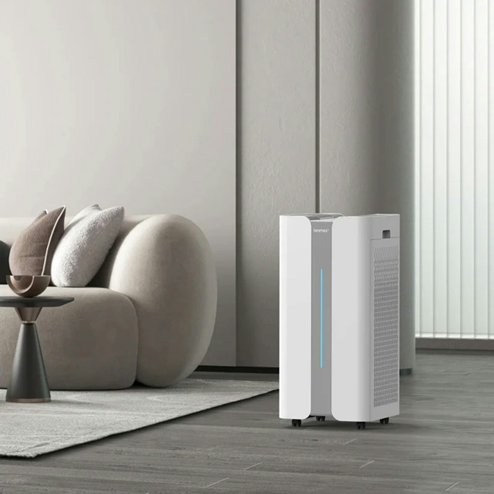 Ionmax ION 1000 Pro Aire X HEPA Air Purifier Office Setup