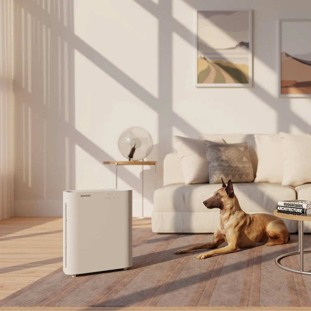 Ionmax ION 420 Breeze Air Purifier Living Room