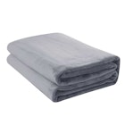 Jason Super Soft Micro Fleece Blanket Silver