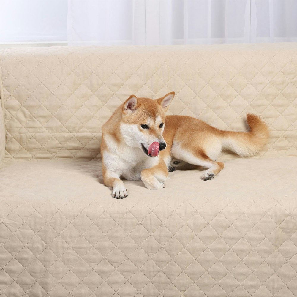 Charlie's Pet Cosy Cover Quilted Sofa Cover