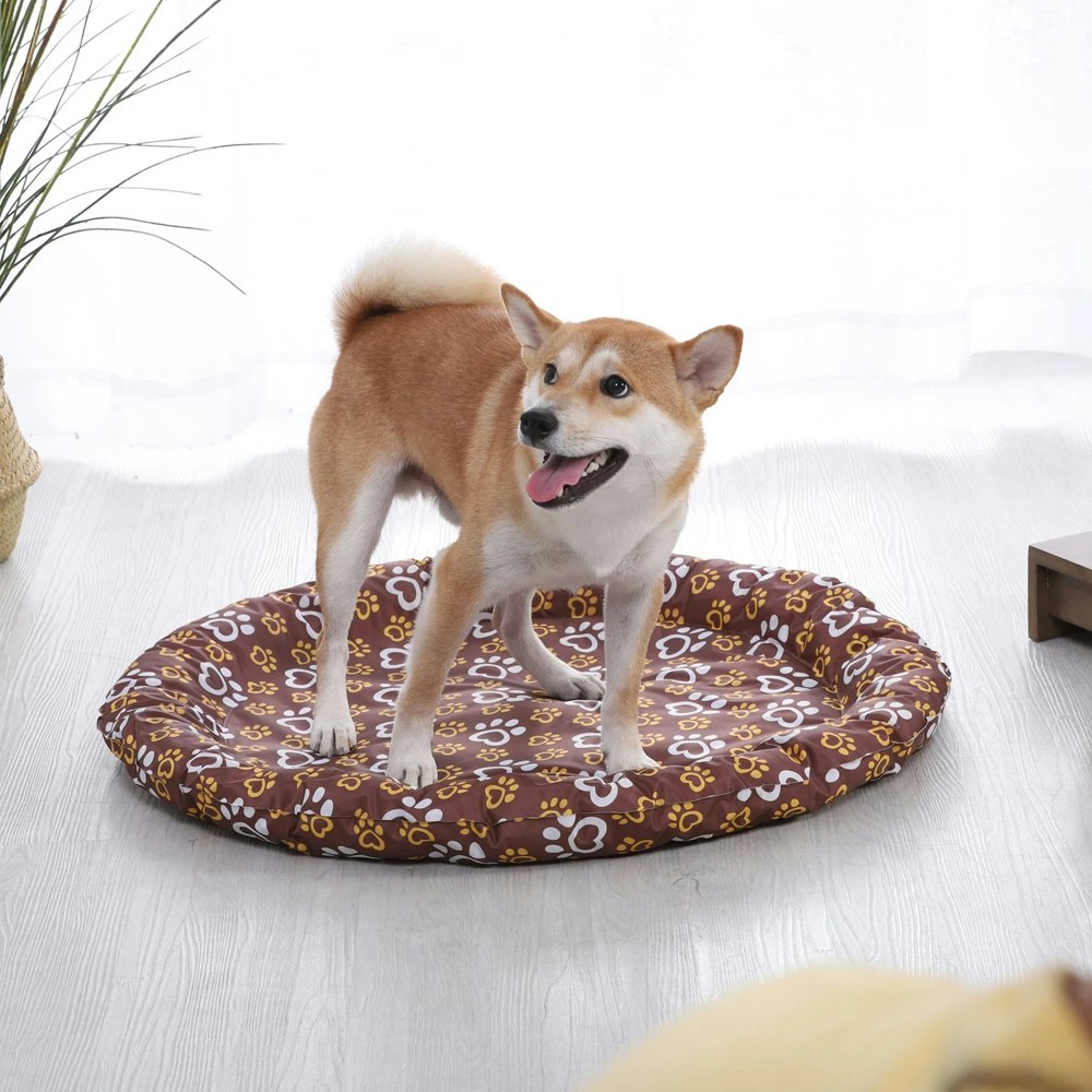 Charlie's Pet Pawtton Print Cooling Round Bed