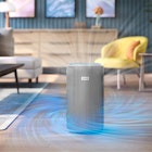 Purify whole living room