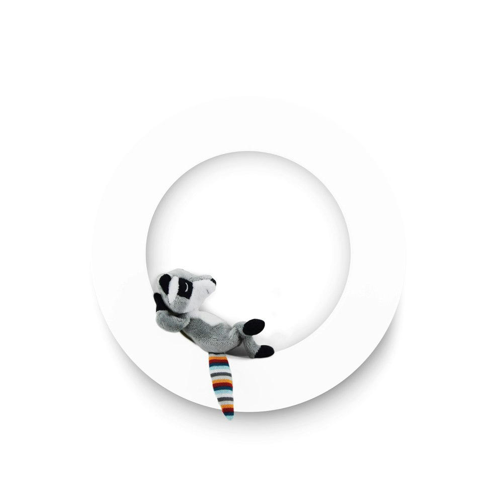 Rex the Racoon