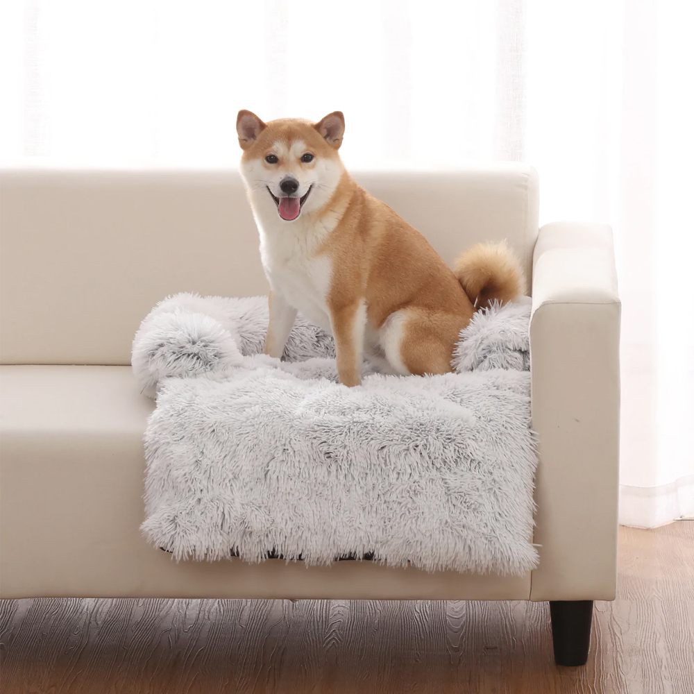 Dog bed hotsell sofa protector