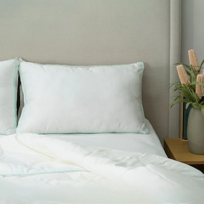 Protect-A-Bed Signature Tencel Fibre Fill Pillow Packaging