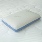 Protect-A-Bed Signature Tencel Jacquard Memory Foam Pillow Soft 2