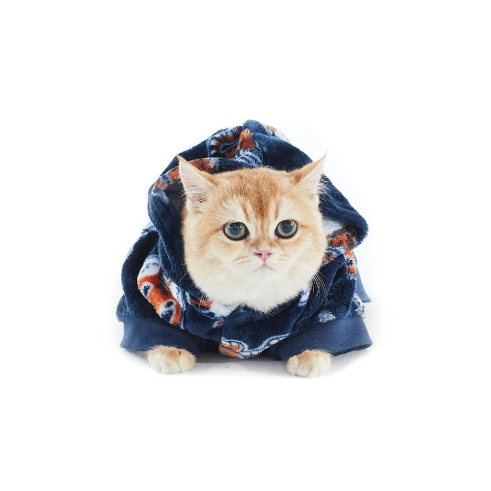 Charlie's Uggo Tig-AWR Dog Hoodie